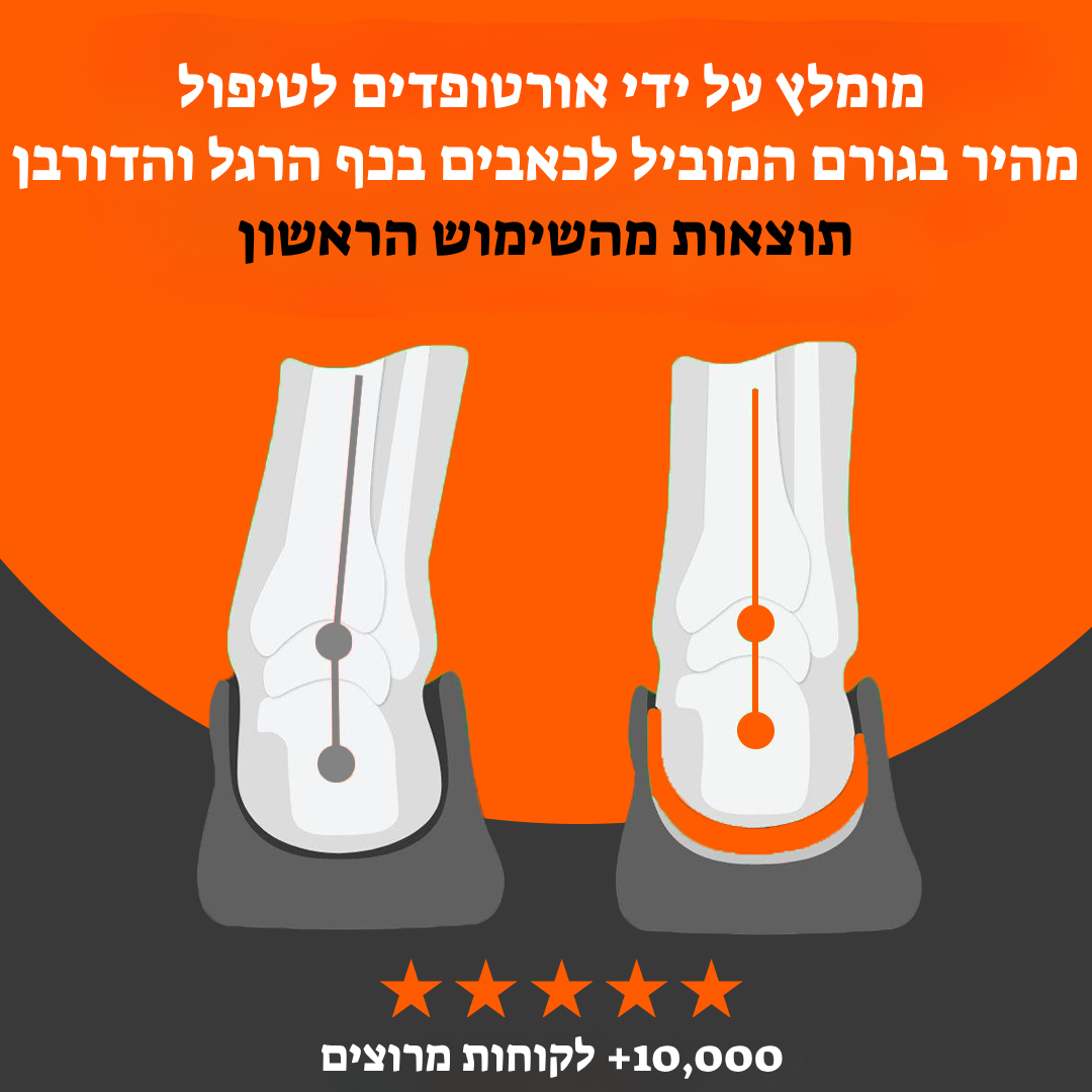 המדרס המתקדם של סולינה