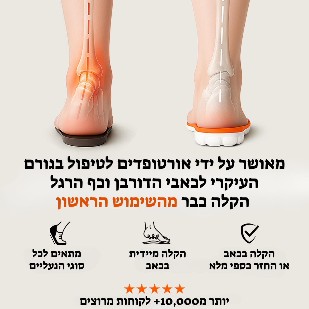המדרס המתקדם של סולינה