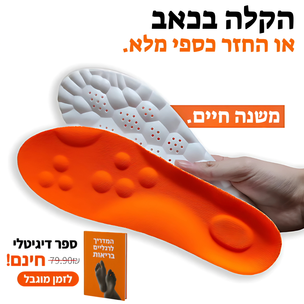 המדרס המתקדם של סולינה
